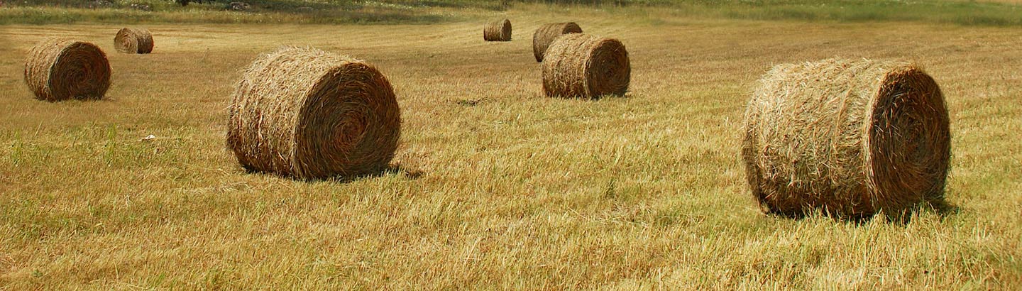 Texas Twister<sup>™</sup> Plastic Baler Twines